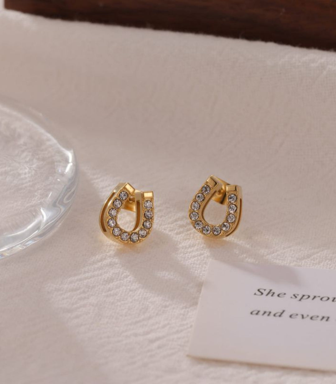 Aretes herradura zirconias
