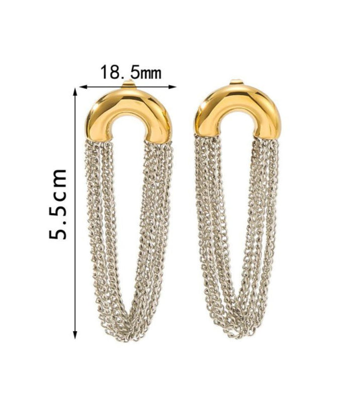 Aretes Tassel