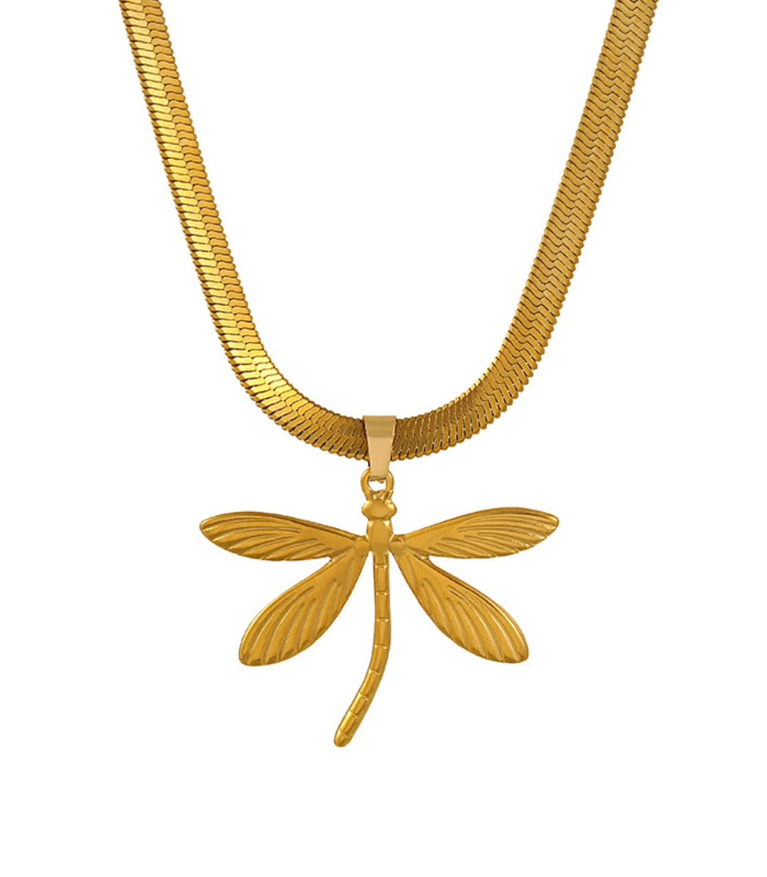 Collar dragonfly snake