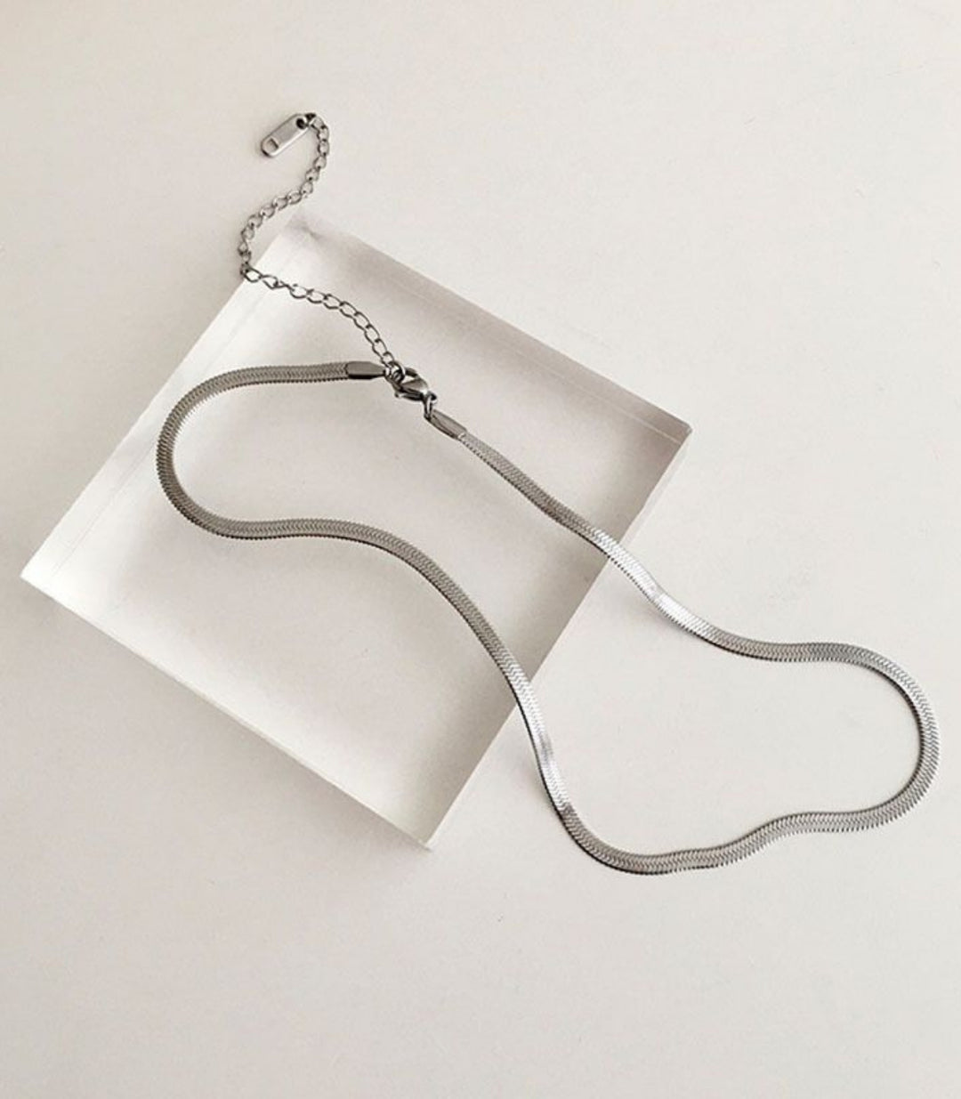 Collar Snake Bone Silver 18k