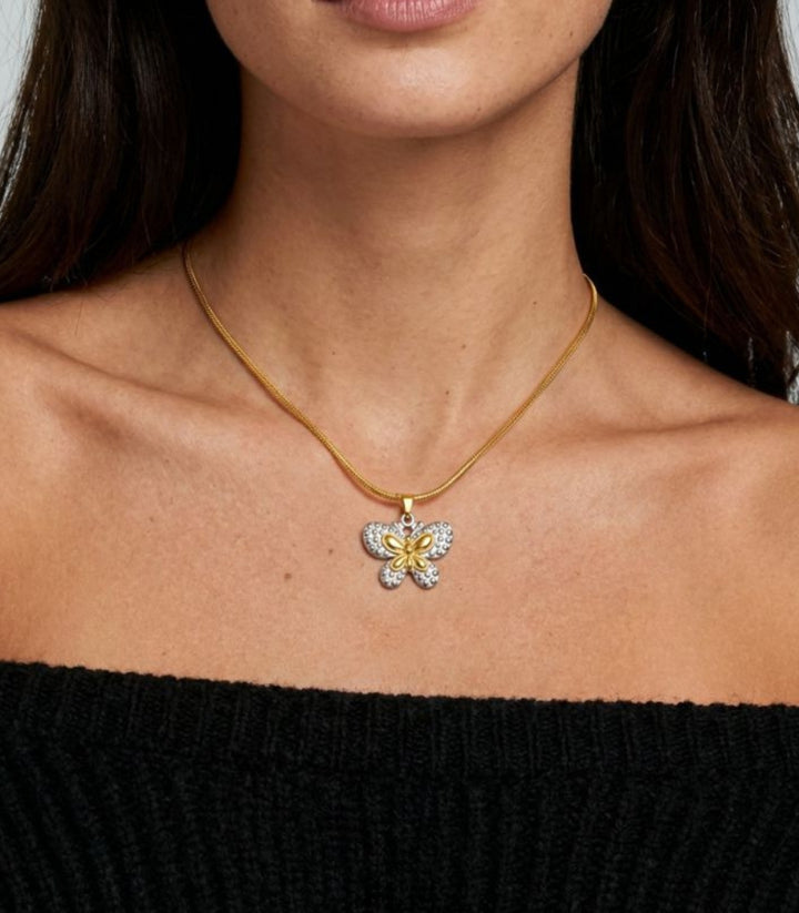 Collar Butterfly Bicolor