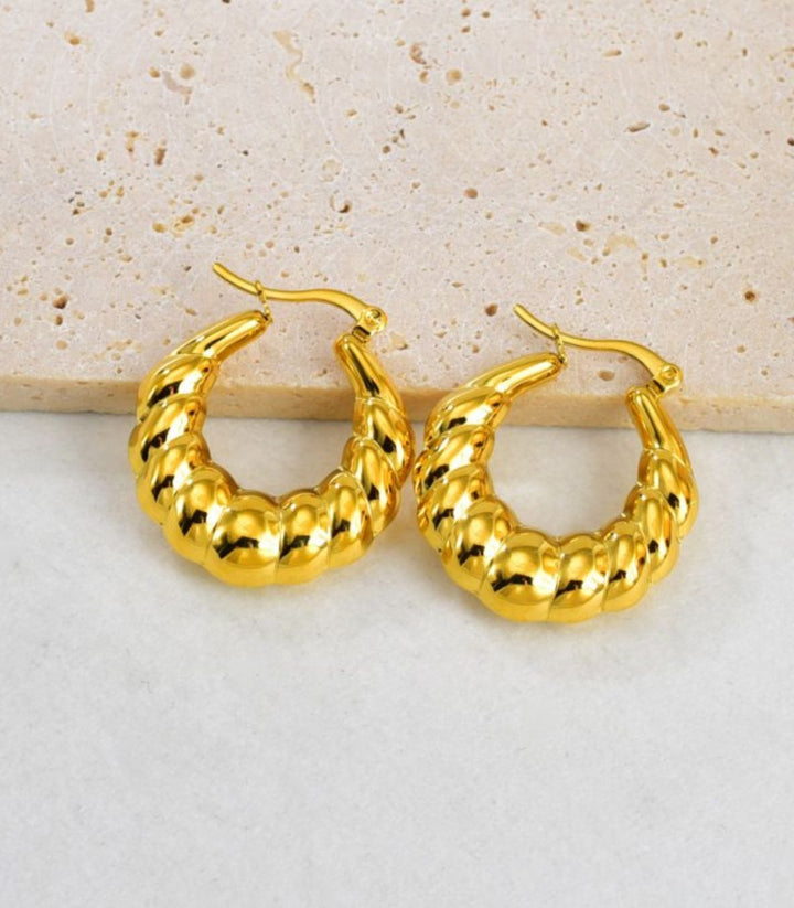 Aretes ear loops