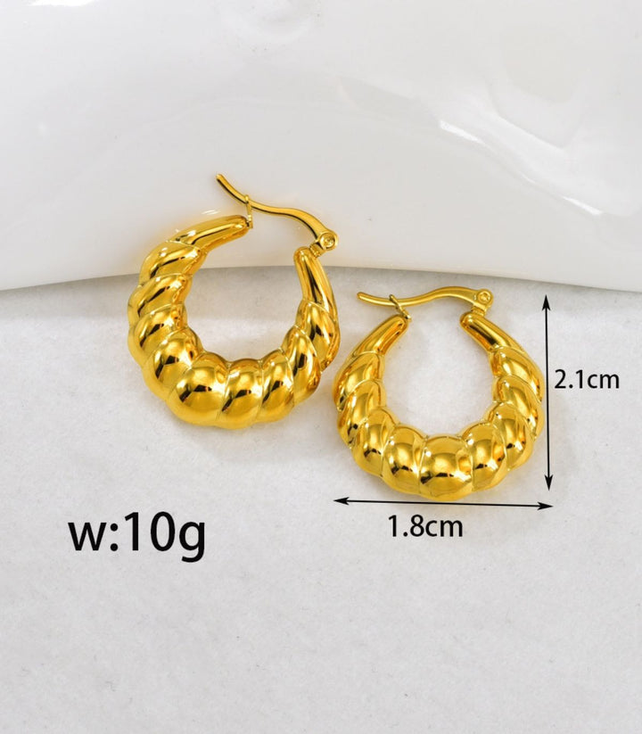 Aretes ear loops