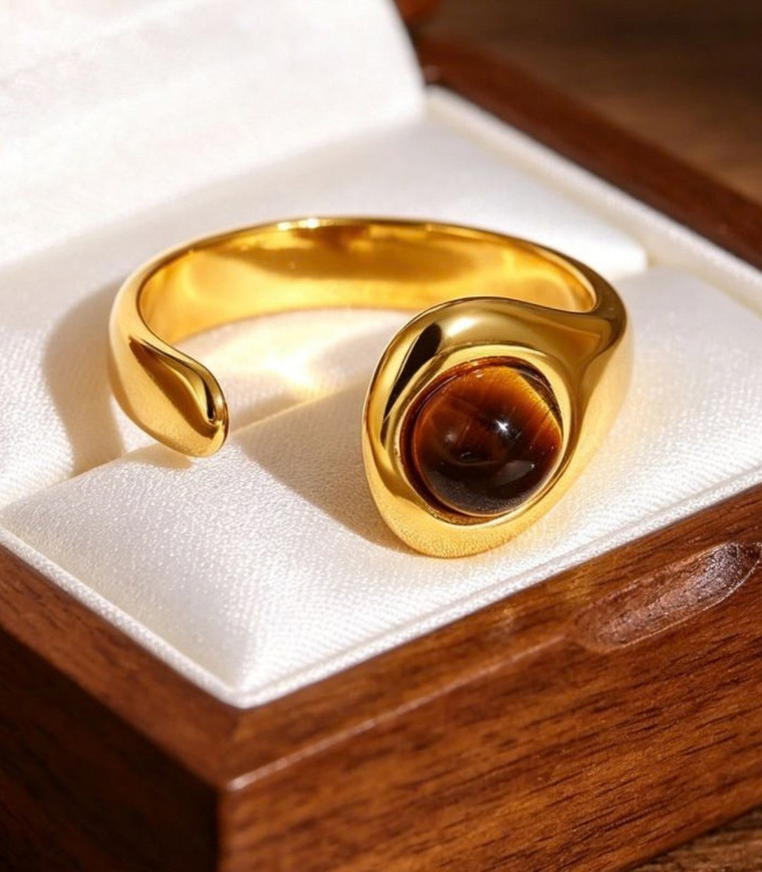 Anillo Retro Snake Tiger Eye