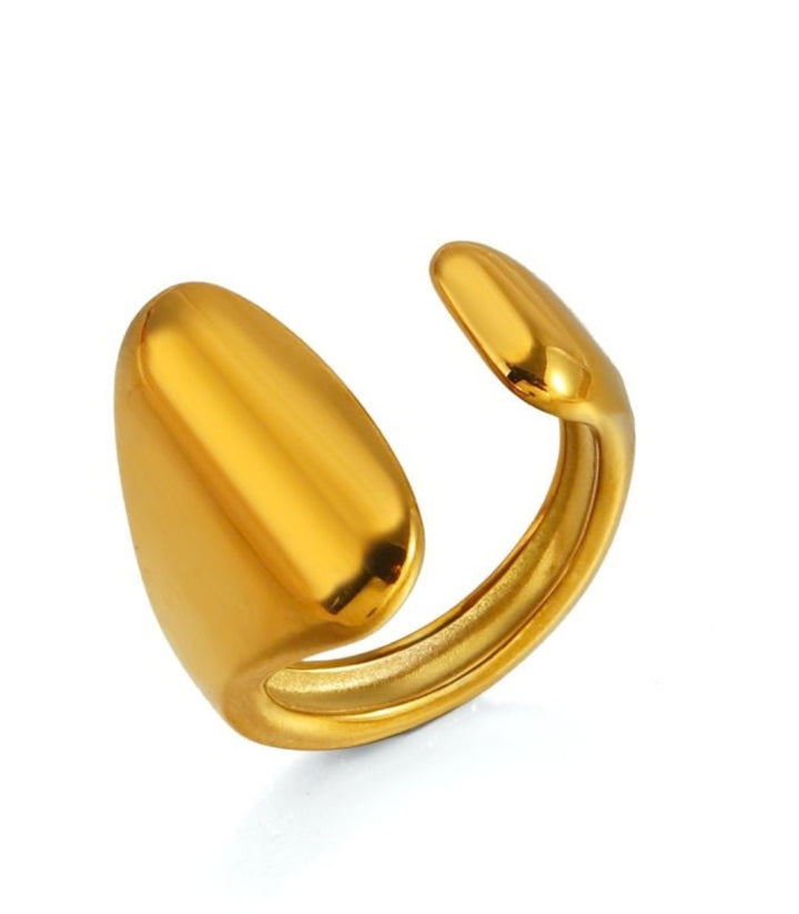 Anillo Gold Wide Band