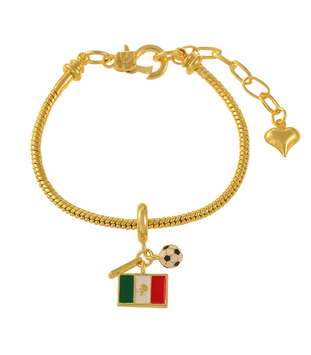 Brazalete national flag map soccer